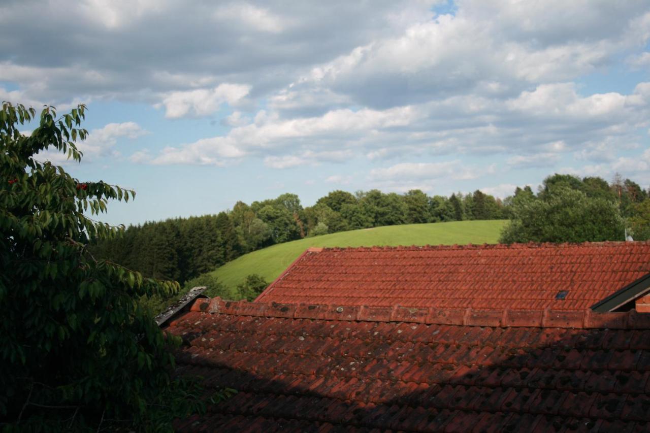 Liebevolle Im Bayerischen Wald * Witzmannsberg
